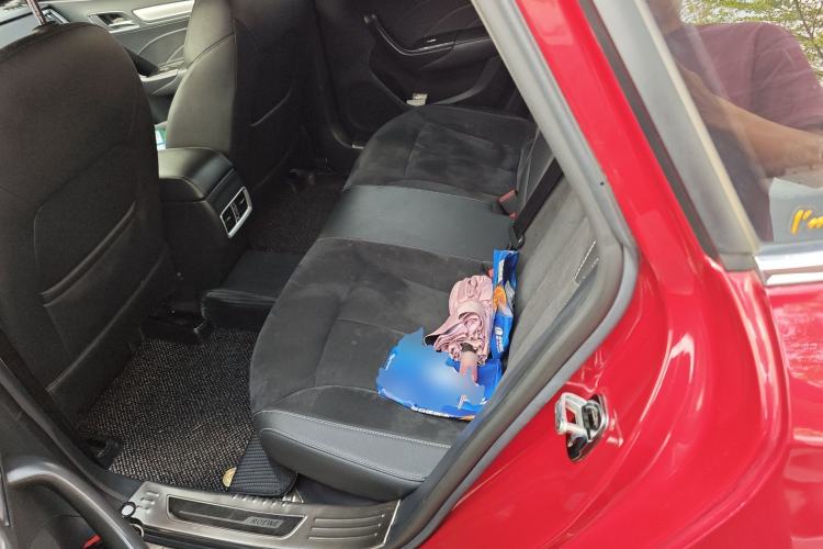 Used Roewe i6 New Energy 2017 45T Hybrid Connective Smart Luxury Edition Left Rear Seat