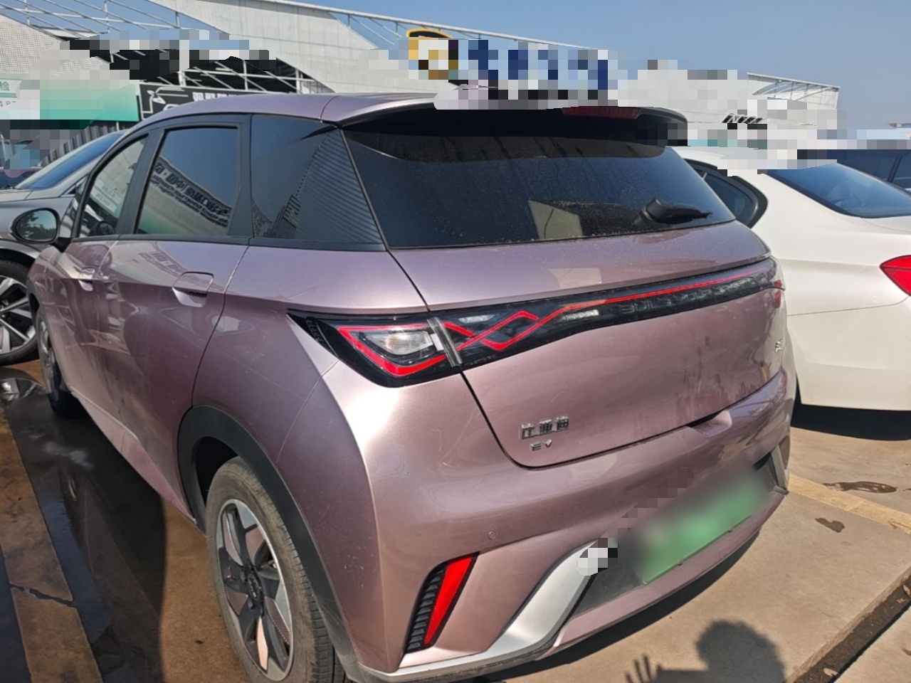 BYD Dolphin 2024 Honor Edition 420km Fashion Version — снимка 4