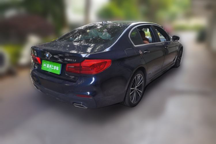 Used BMW 5 Series 2020 530Li Luxury Edition M Sport Package Rear Right 45 Deg