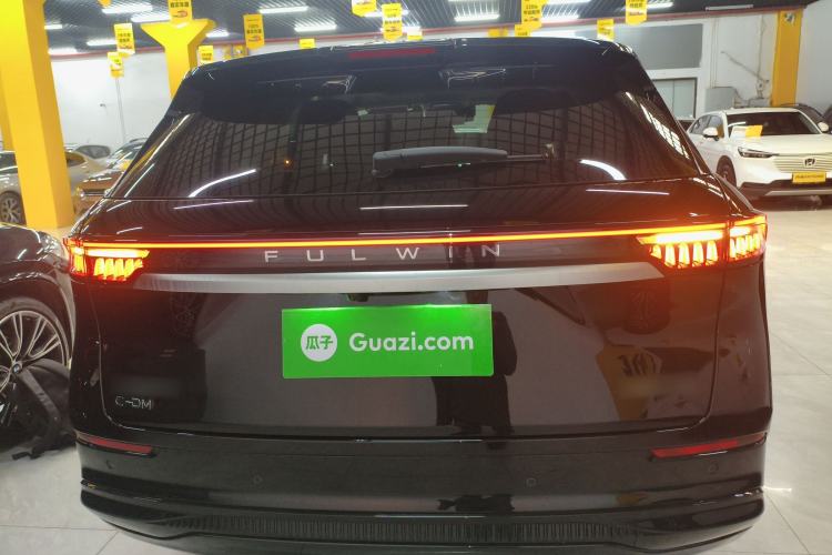 Used Chery Fengyun T10 2024 210 Luxury Edition Rear