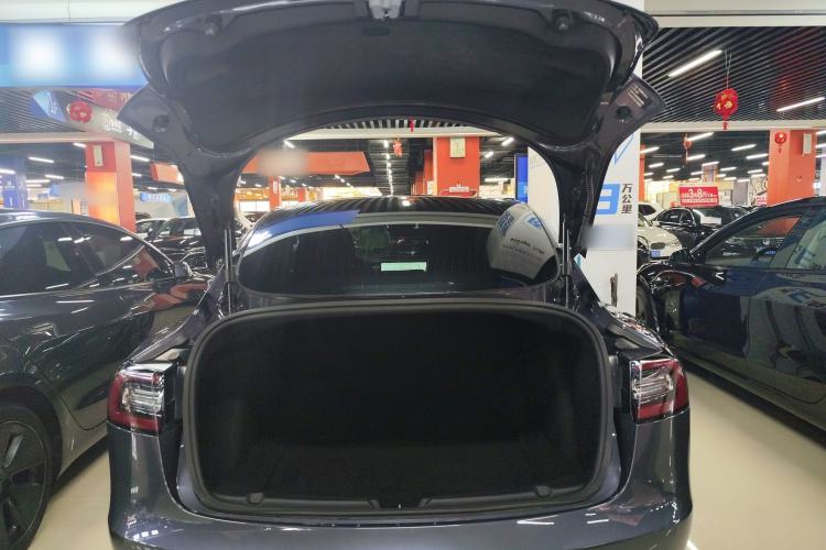 Used Tesla Model 3 2019 Standard Range Rear-Drive Upgraded Version