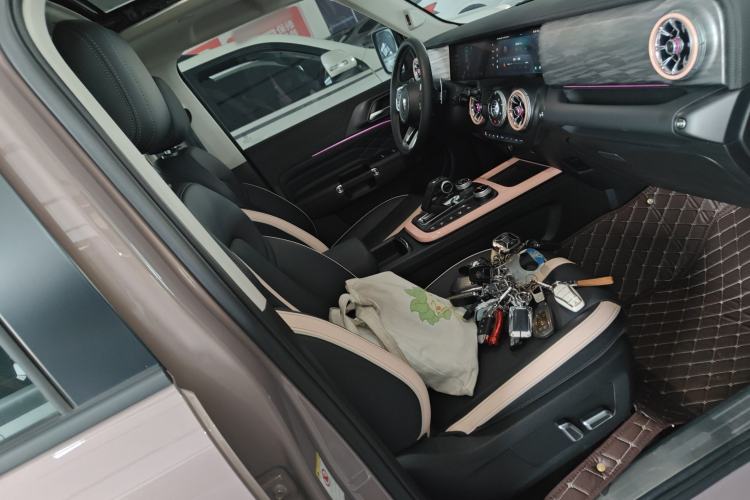 Used Tank 300 2023 City Edition 2.0T Essential Model