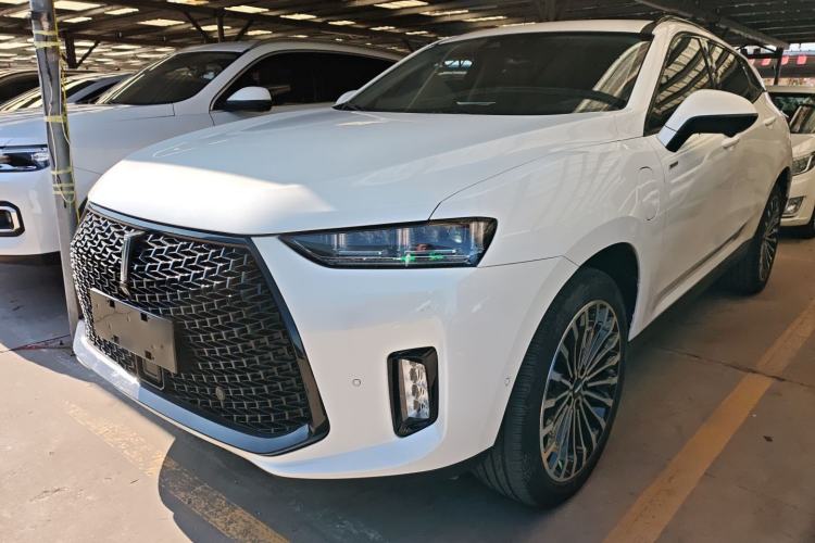 Used Wey P8 2018 2.0T Flagship Model