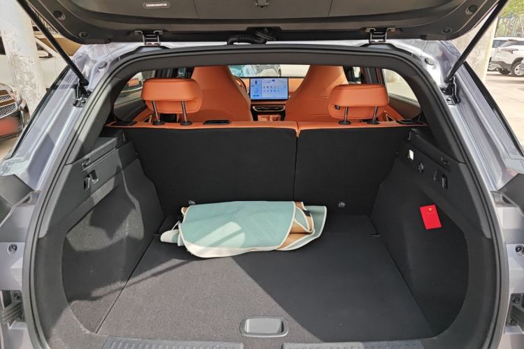 Used NETA X 2023 500 Lite Trunk