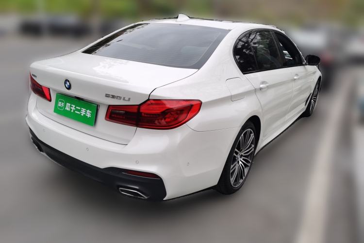 Used BMW 5 Series 2019 530Li Luxury Edition M Sport Package
