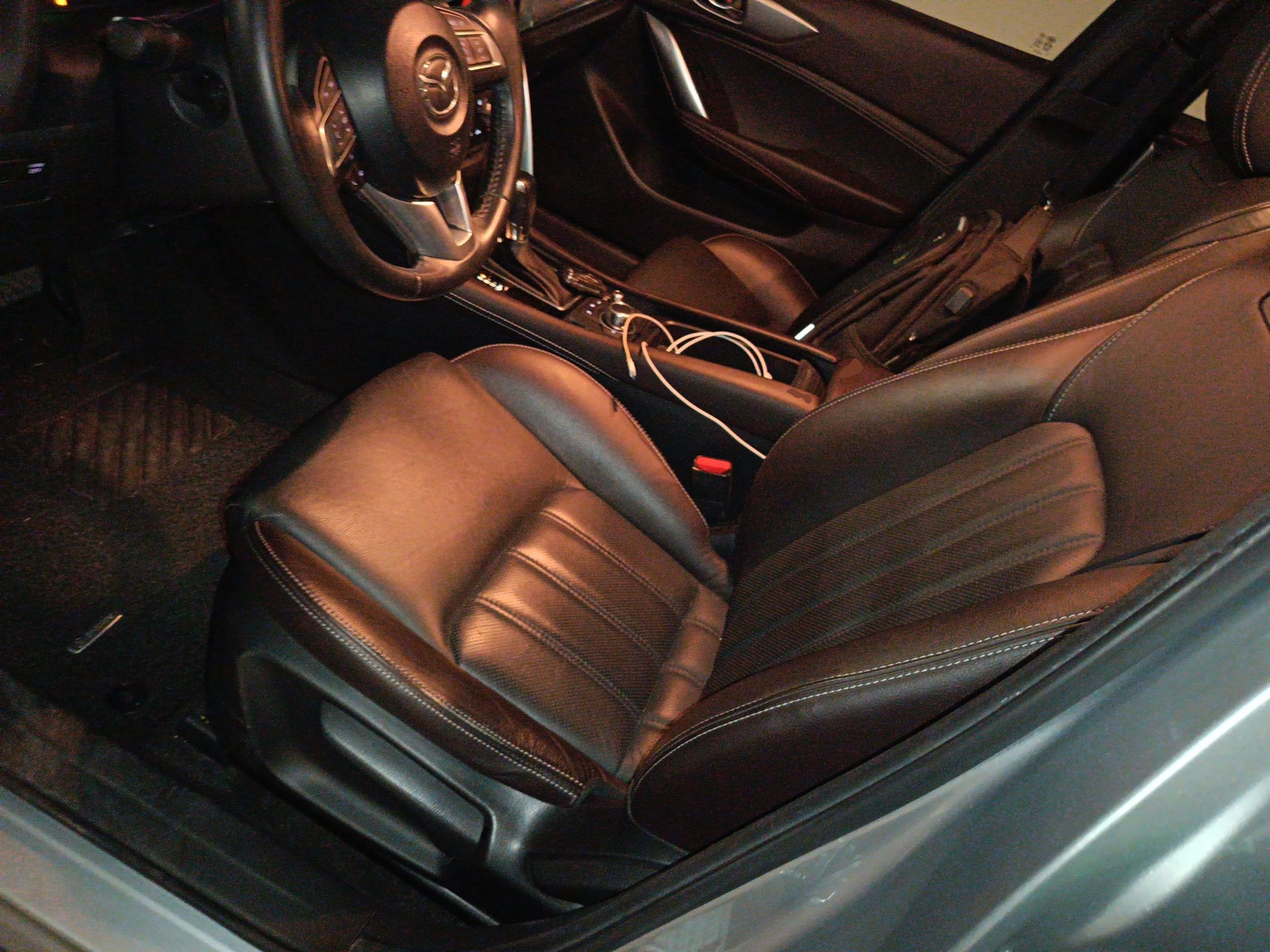 Interior delantero