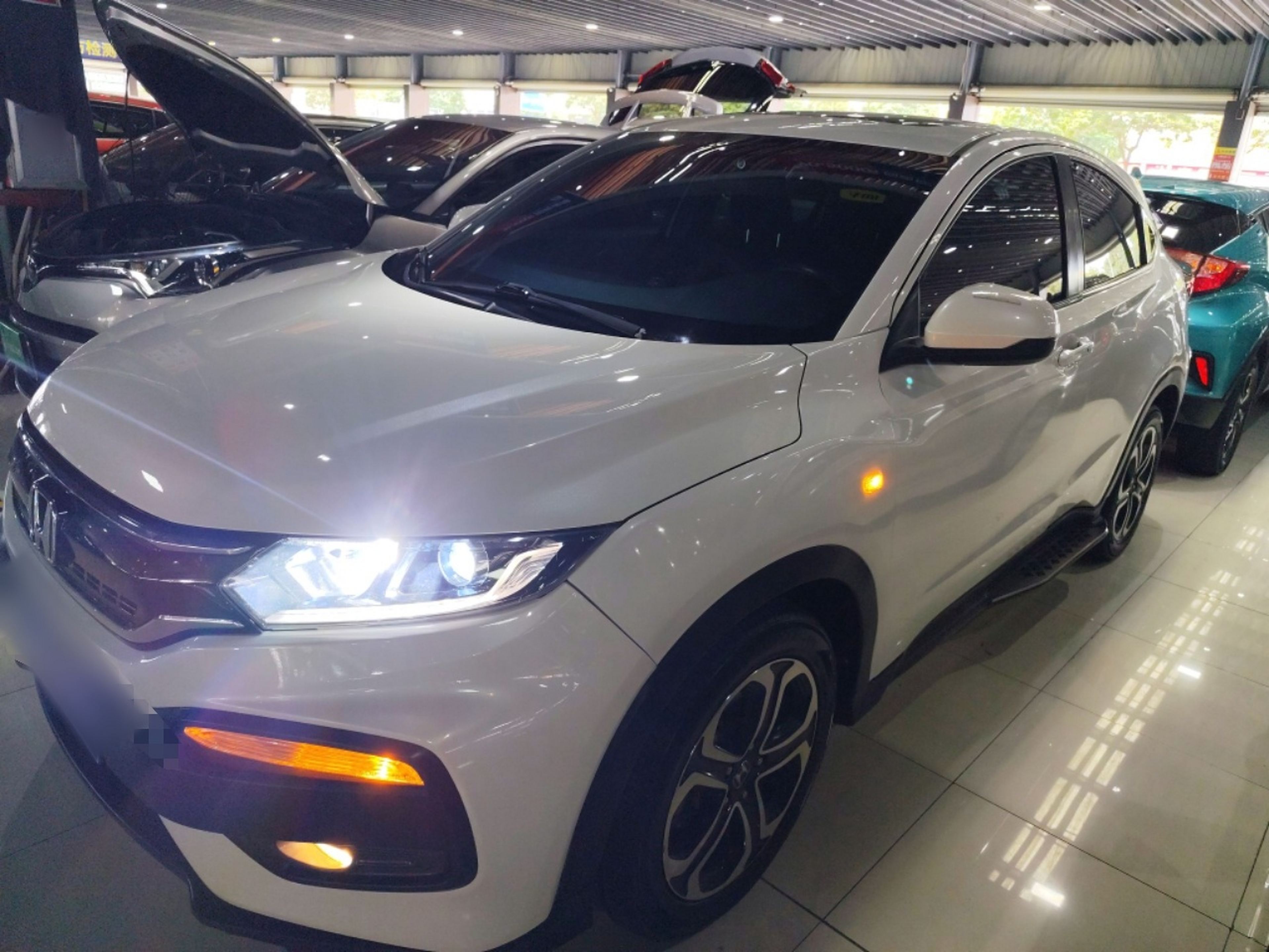 Parte inferior delantera