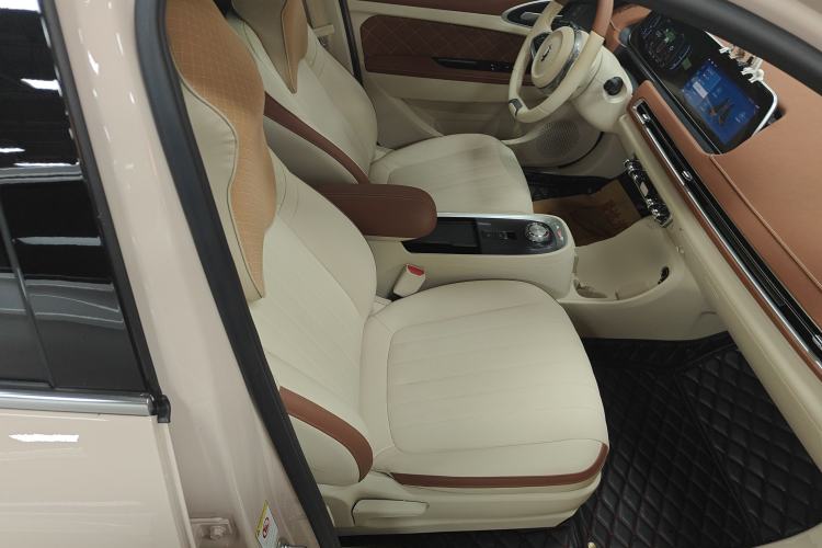 Used ORA Good Cat 2021 400km Standard Range Athena Edition Lithium Iron Phosphate
