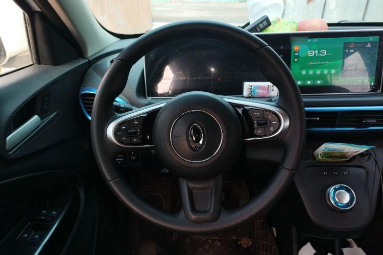 Used ORA White Cat 2020 305 km Luxury Version Steering Wheel