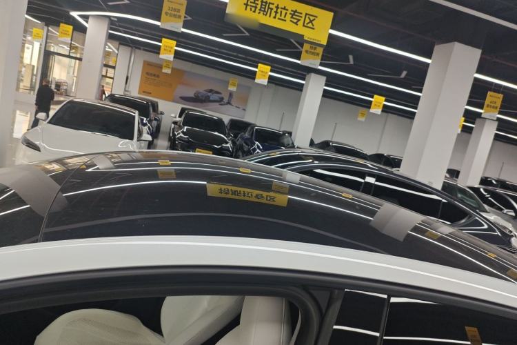 Used Tesla Model Y 2025 Long-Range All-Wheel-Drive Version