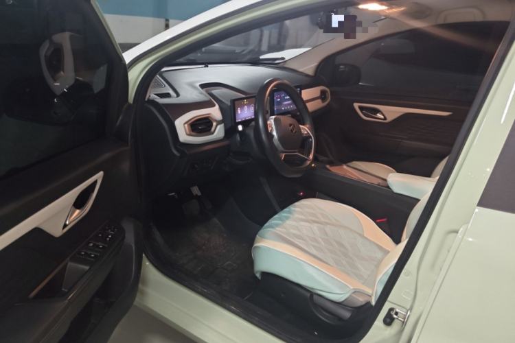 Used SOL E10X 2022 Flower Fairy Design Four-Leaf Clover