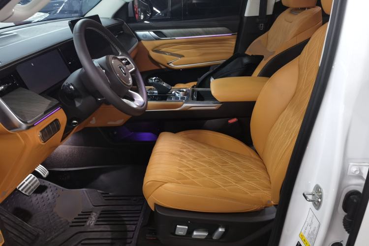 Used Tank 500 New Energy 2025 Hi4-Z
