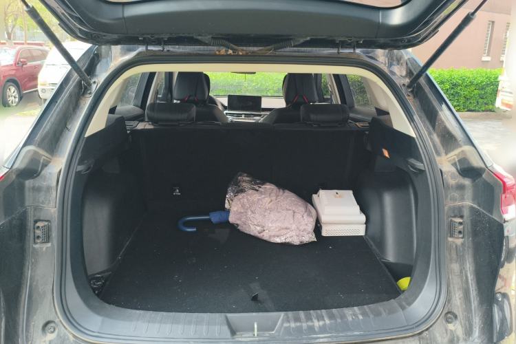 Used Haval H6 2023 National Trend Edition 1.5T Automatic Urban Version
