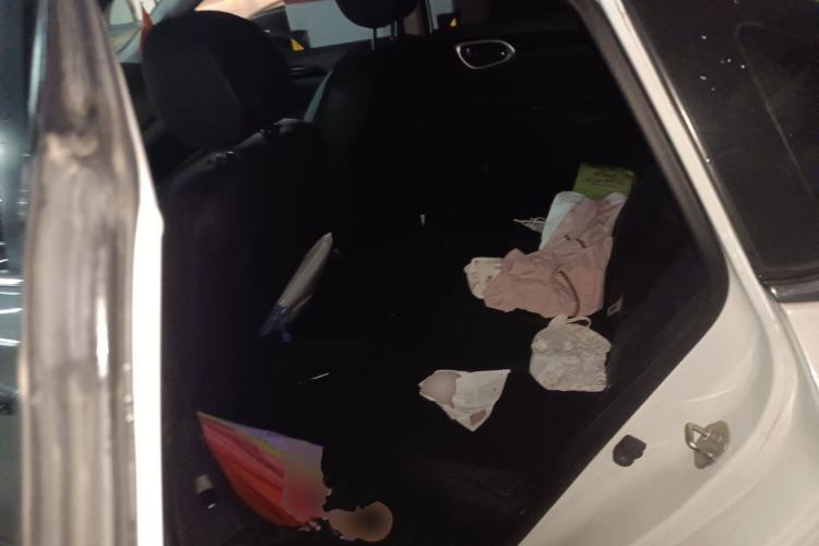 Used Nissan Sylphy 2019 1.6XV CVT Smart Connect Luxury Edition China VI Standard Left Rear Seat