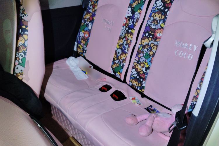 Used Wuling Hongguang MINIEV 2020 Zizai Version Lithium-NMC