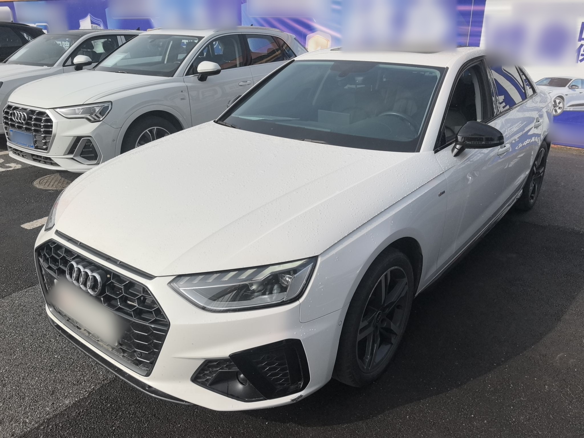 Parte inferior delantera