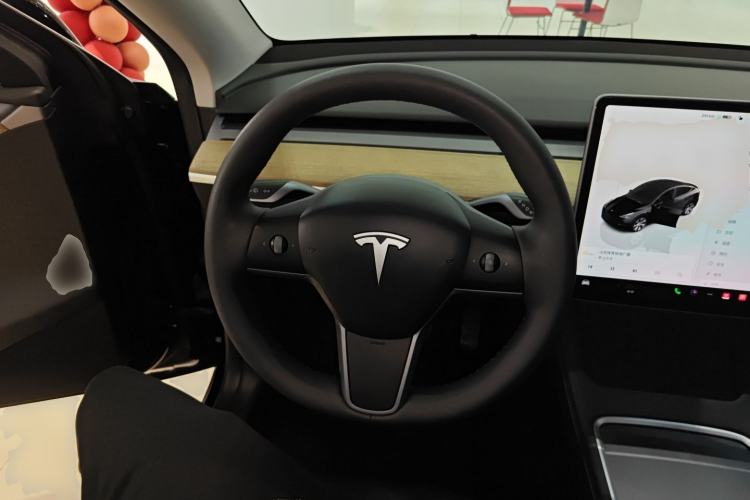 Used Tesla Model Y 2022 Revised Version Long-Range All-Wheel Drive