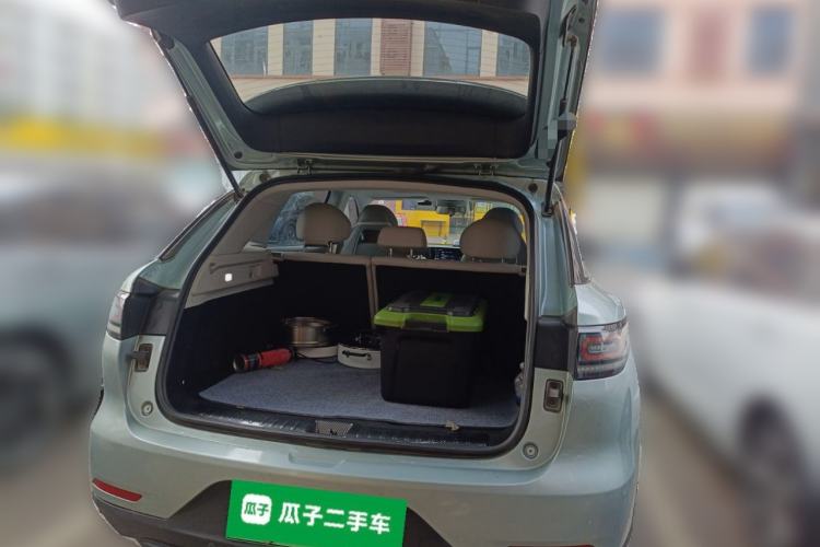 Used Leapmotor C11 2023 Pure Electric 500 Comfort Edition
