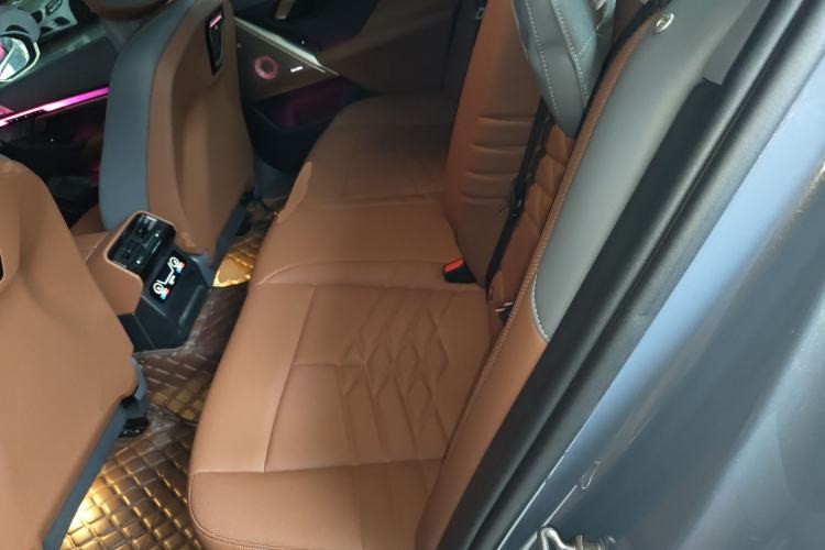 Used BMW 5 Series 2024 530Li Luxury Edition M Sport Package Left Rear Seat