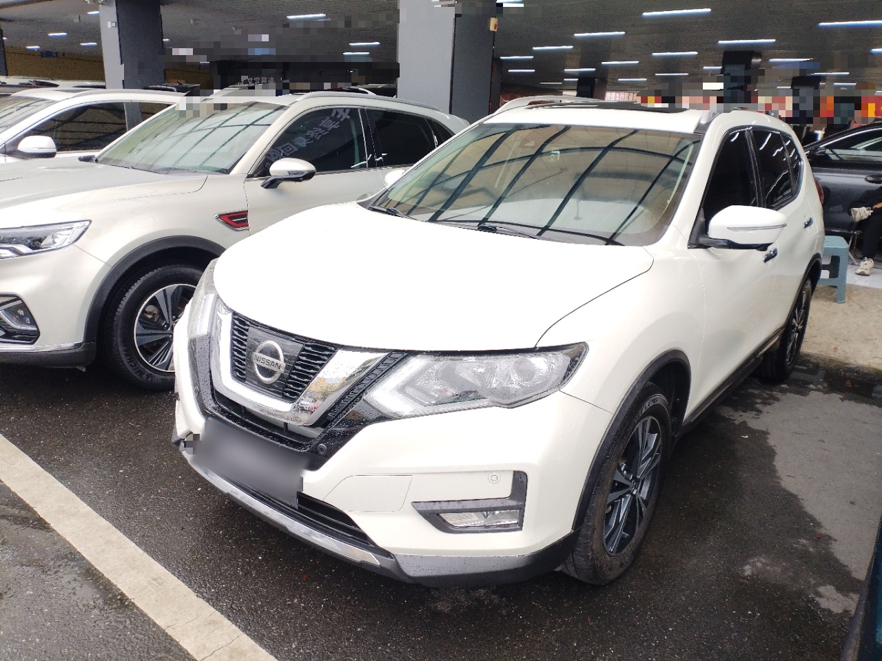 Parte inferior delantera