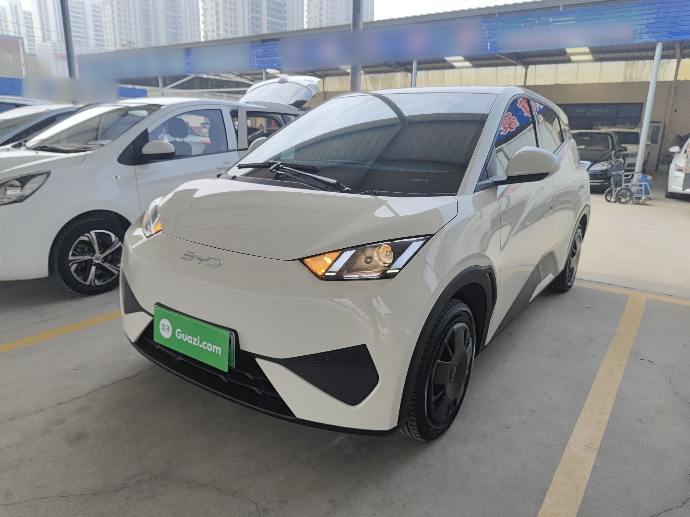 Parte inferior delantera