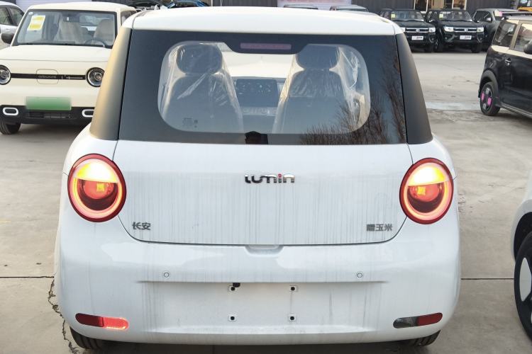 Used Qiyuan Lumin 2024 130km Qingyue Version
