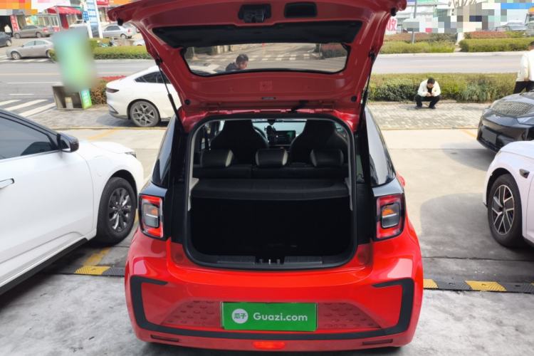 Used SOL E10X 2022 Flower Fairy Design Four-Leaf Clover