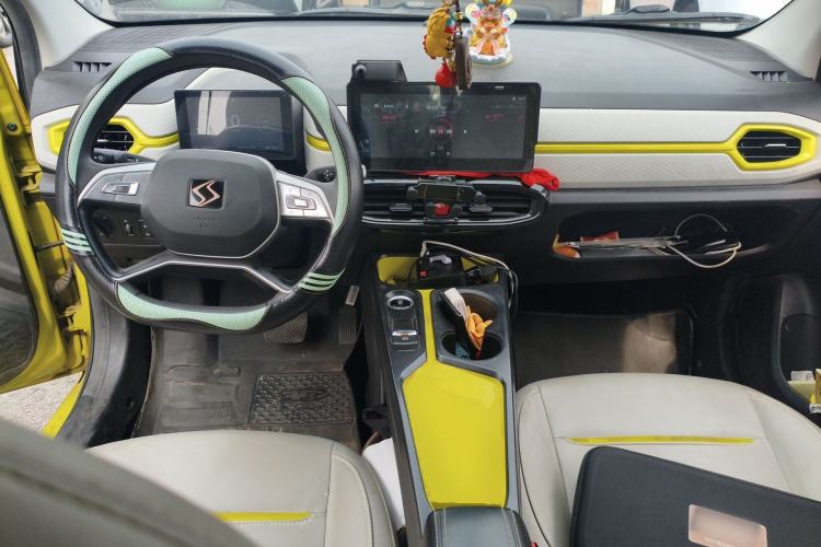 Used SOL E10X 2022 Flower Fairy Design Four-Leaf Clover
