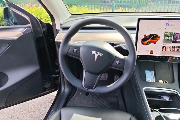 Used Tesla Model Y 2021 Standard Range Rear-Wheel Drive Version
