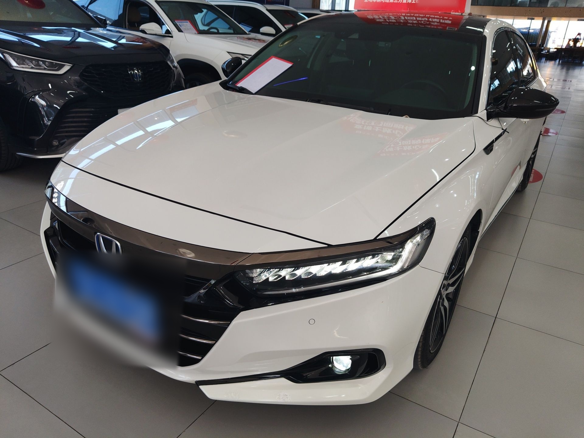 Parte inferior delantera