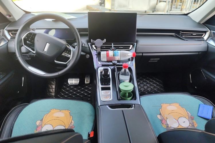 Used Wey Mocha 2021 2.0T Two-Wheel Drive Special Edition
