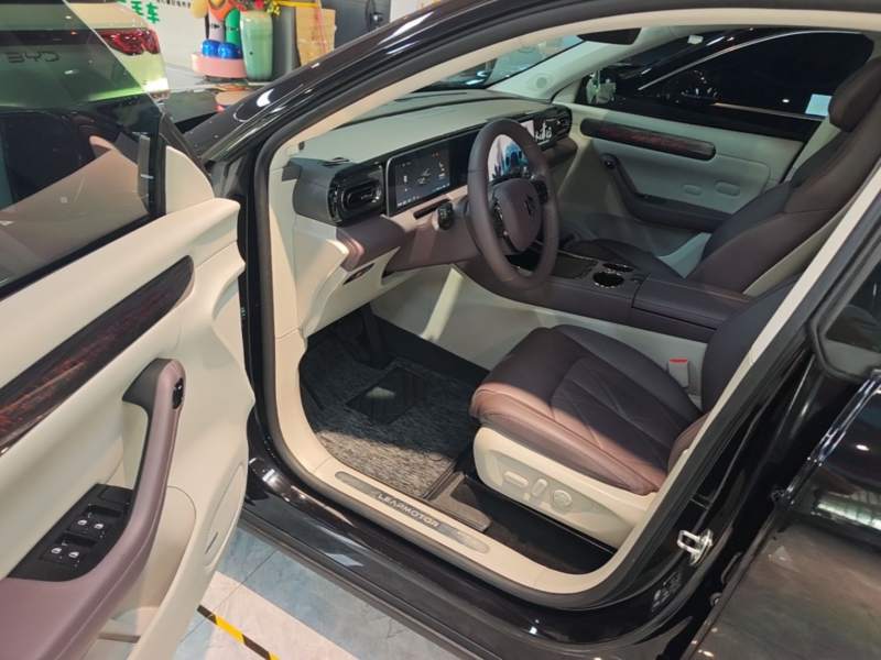 Used Leapmotor C11 2024 Range-Extended 300 Luxury Edition — 15