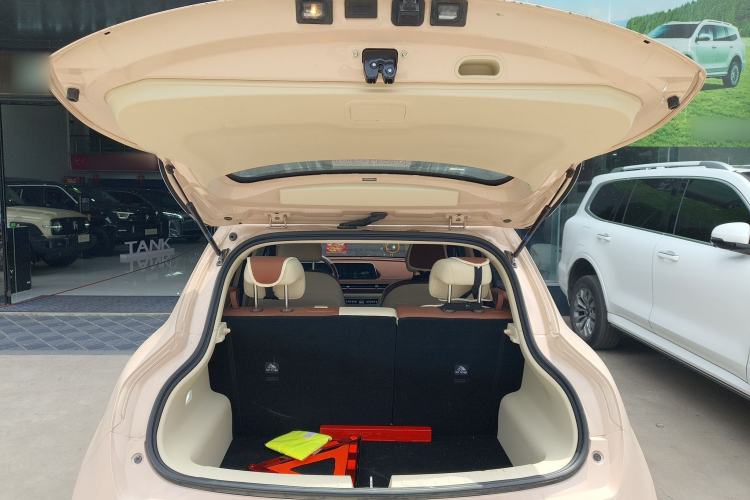 Used ORA Good Cat 2024 401 km Luxury Version Trunk