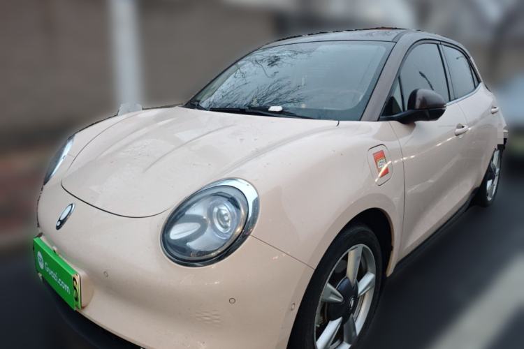 Used ORA Good Cat 2021 400km Standard Range Athena Edition Lithium-Ion Battery