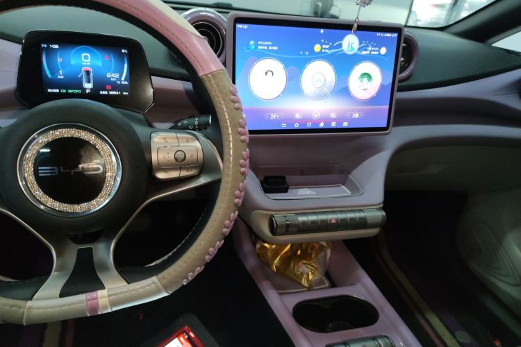 Used BYD Dolphin 2021 405 km Free Version
