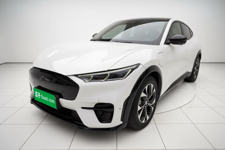 Used Ford Mustang Mach-E 2021 AION Y Plus Rear-Drive Luxury Edition (Long Range)