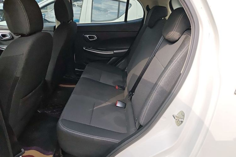 Used Dayun Yuehu 2022 30.66 kWh Two-Wheel Drive Standard Version Left Rear Seat