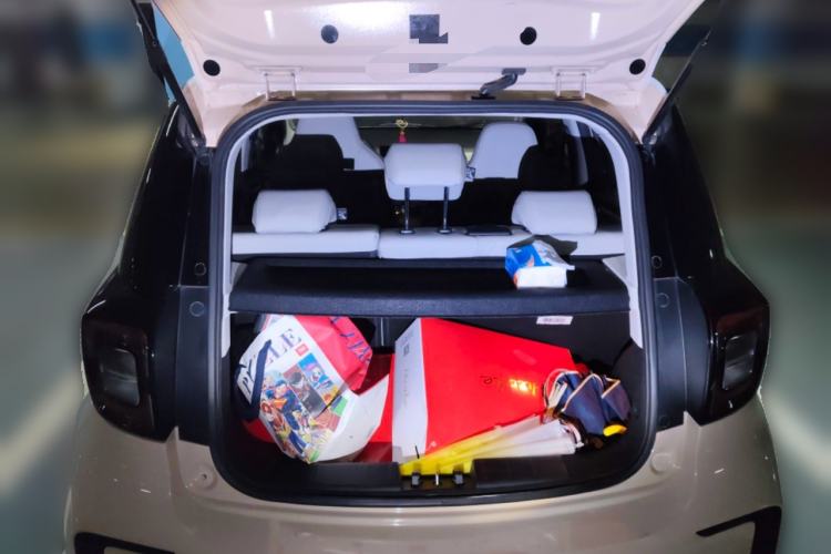 Used SOL E10X 2022 Flower Fairy Design Four-Leaf Clover
