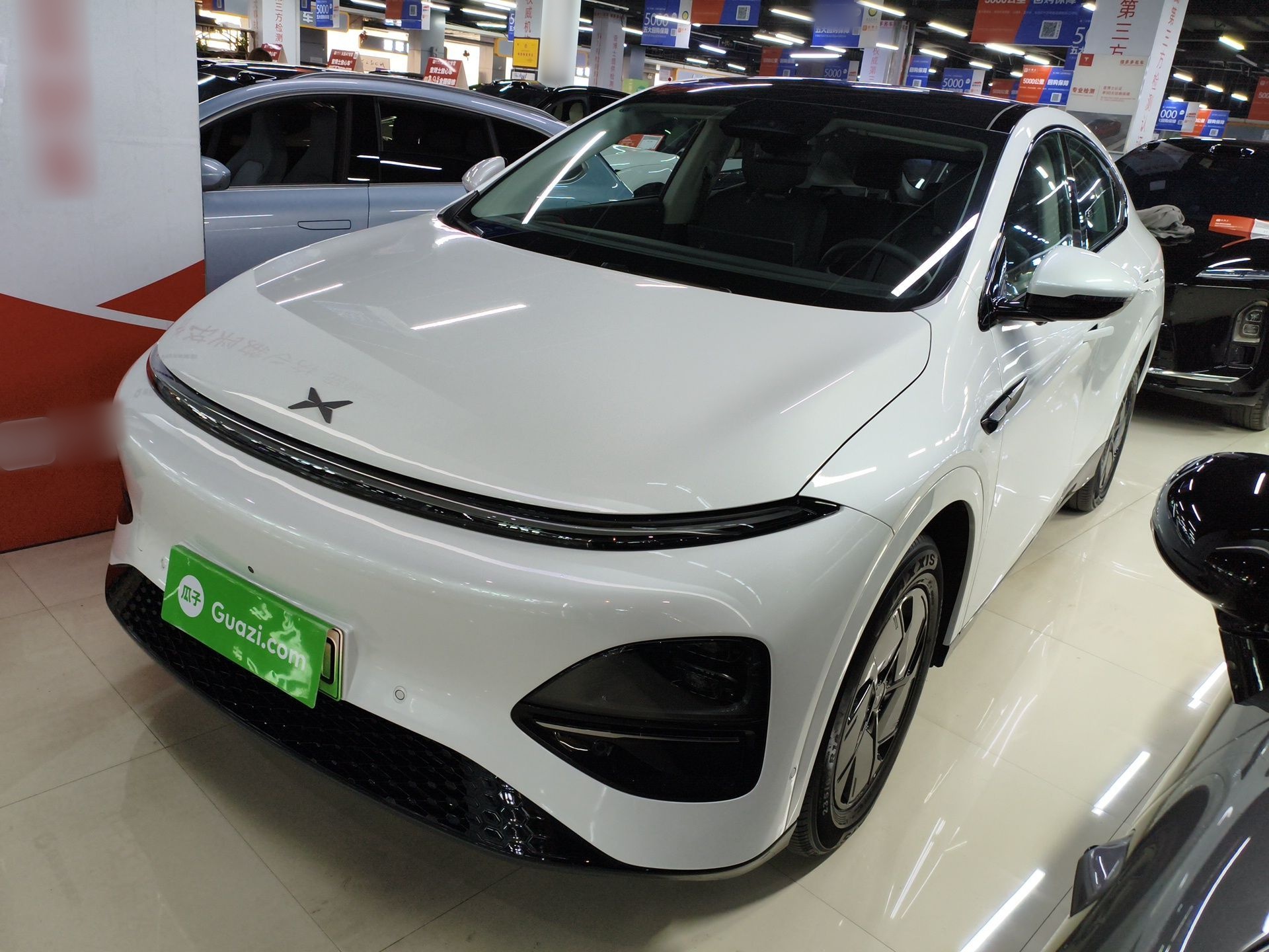 Parte inferior delantera