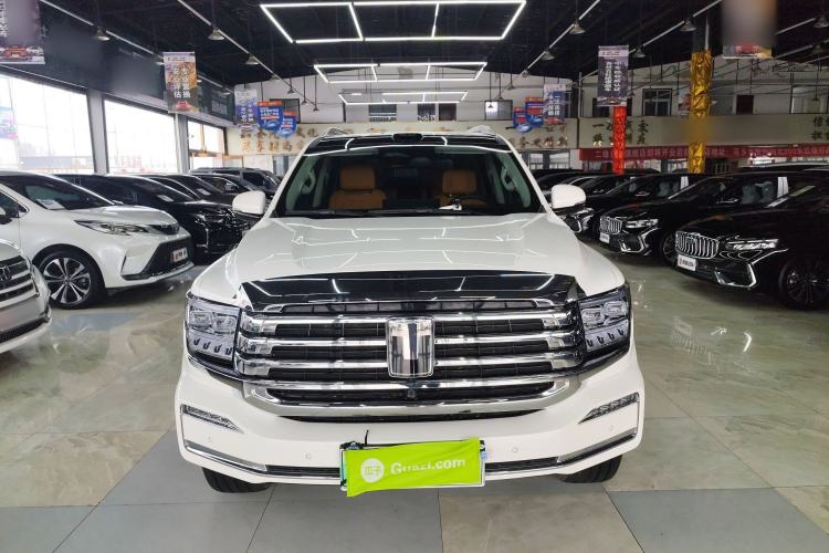 Used Tank 500 New Energy 2026 Model—Hi4-Z Smart Enjoyment Version Front