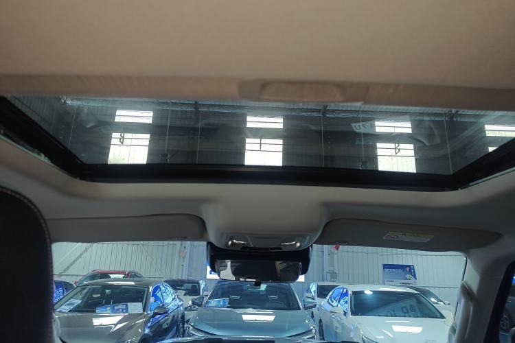 Used Tank 300 2024 2.0T Conqueror