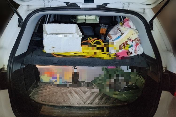 Used Roewe RX5 New Energy 2019 eRX5 50T Internet-Enhanced Flagship Edition