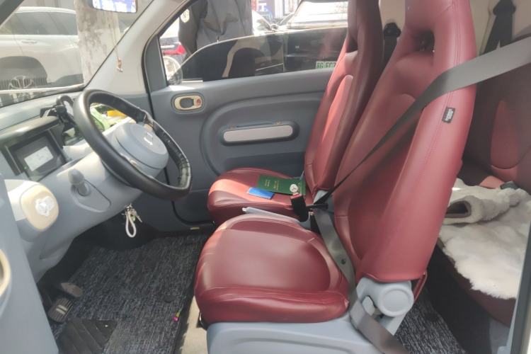 Used Bestune Pony 2024 170km Range Energizing Horse Left Front Seat