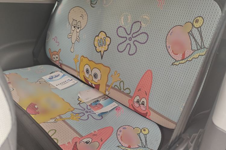 Used Qiyuan Lumin 2022 210km Sweet Edition