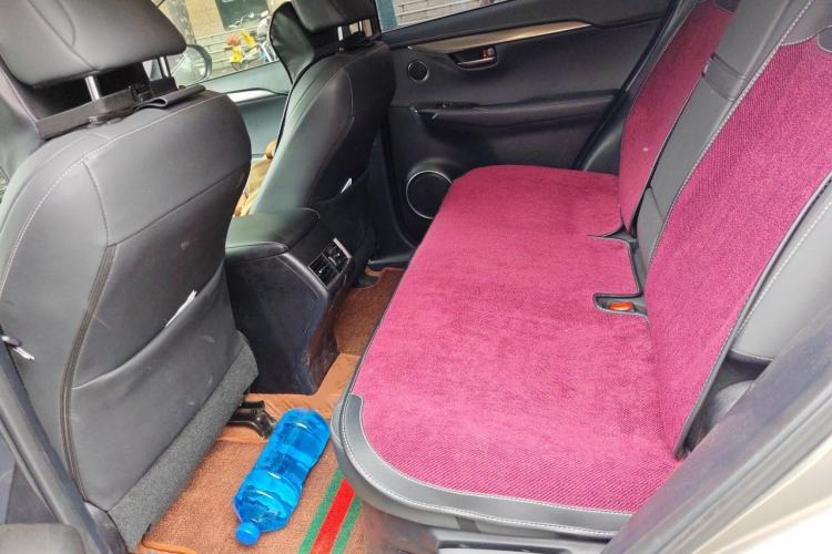 Used Lexus NX 2020 200 All-Wheel Drive Fēngshàng Version China VI Standard