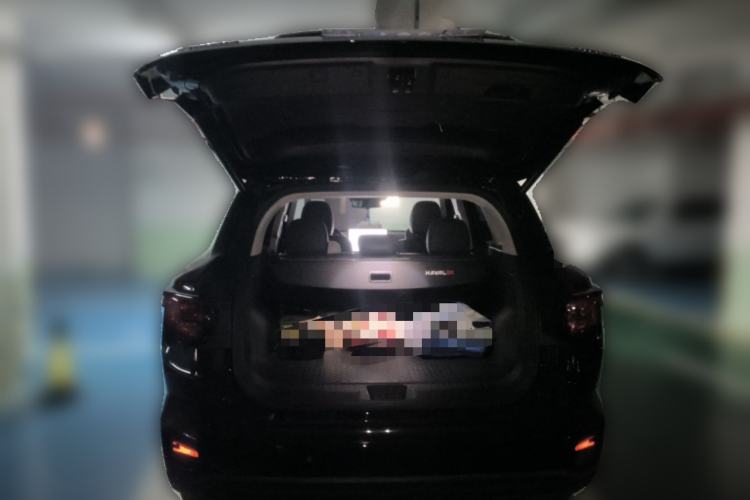 Used Haval H Dog 2023 2.0T All-Wheel-Drive Chaoye Plus
