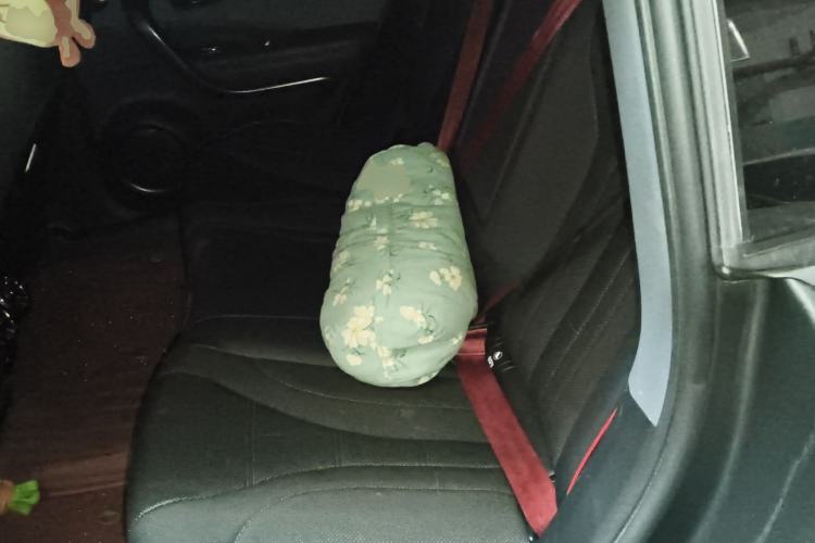 Used ORA Lightning Cat 2024 Dark Night Edition 555km Prestige Version Left Rear Seat