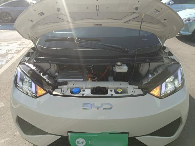 Used BYD Seagull 2025 Intelligent Driving Version 305 km Dynamic Edition — 19