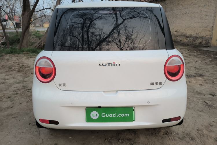 Used CHANGAN NEVO Lumin 2024 130km Qingyue Version Rear