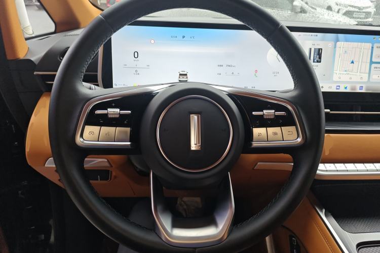 Used Wey Gaoshan 2023 Two-Wheel Drive Deluxe Edition
